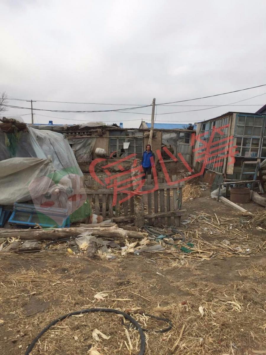 黑龙江省安达市老虎岗镇14岁男孩赵力军患再生障碍性贫血